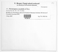 Image Associated With the Occurence
